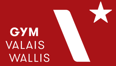Logo Gym Valais Wallis
